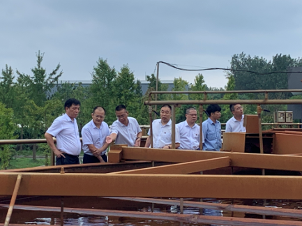 1631752698510287.png image.png